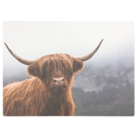 Highland Cow in colour